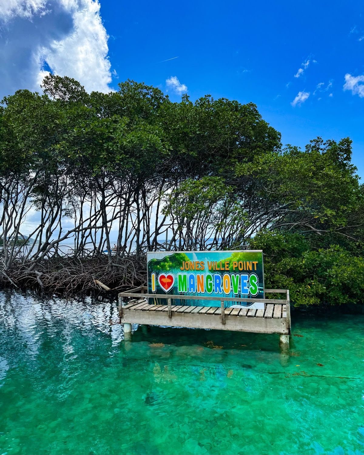 East Bay Tour + Animal Park + Mangrove Tour + Garifuna Cultural